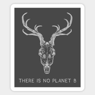 There Is No Planet B Magnet